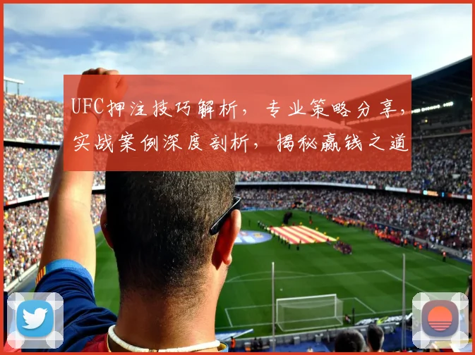 UFC押注技巧解析，专业策略分享，实战案例深度剖析，揭秘赢钱之道