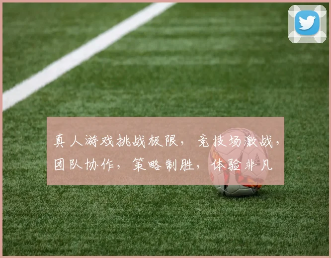 真人游戏挑战极限，竞技场激战，团队协作，策略制胜，体验非凡