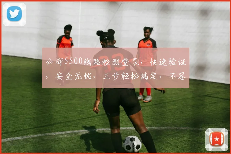 公海5500线路检测登录，快速验证，安全无忧，三步轻松搞定，不容错过