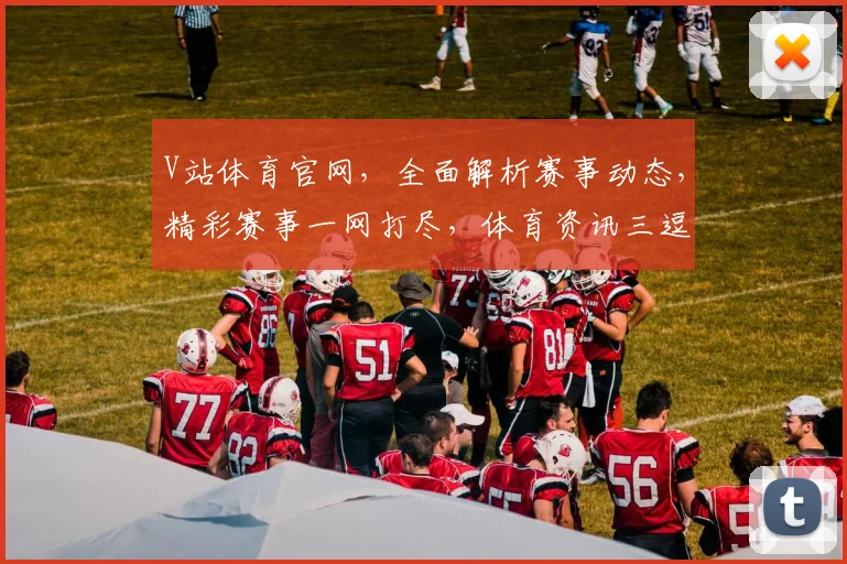 V站体育官网，全面解析赛事动态，精彩赛事一网打尽，体育资讯三逗一网