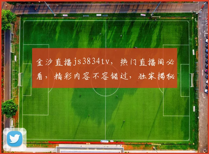 金沙直播js3834tv，热门直播间必看，精彩内容不容错过，独家揭秘，不容错过
